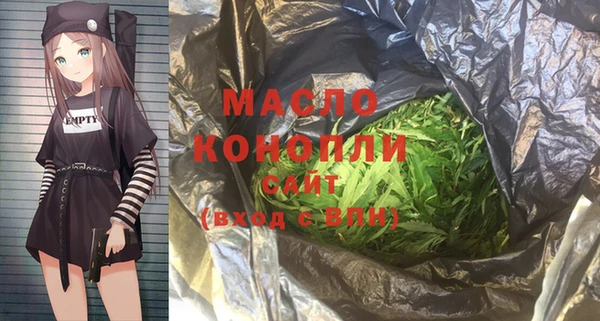 индика Слюдянка