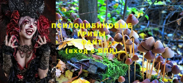 стафф Балахна