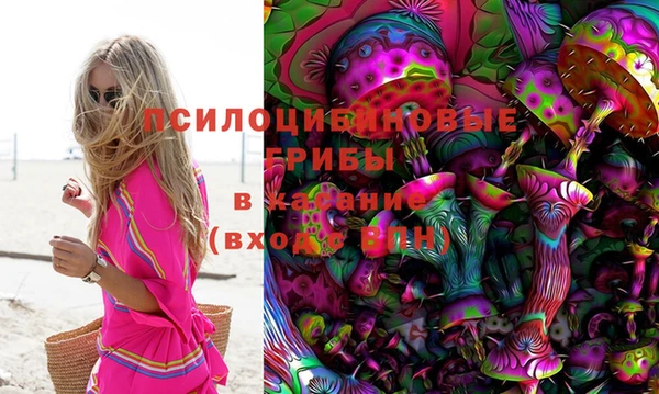 стафф Балахна