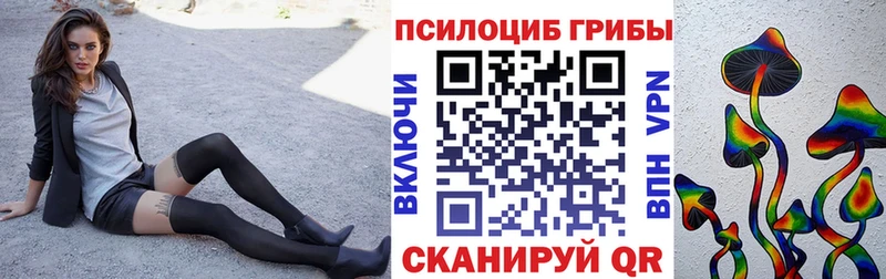 Псилоцибиновые грибы мицелий  Белая Калитва 